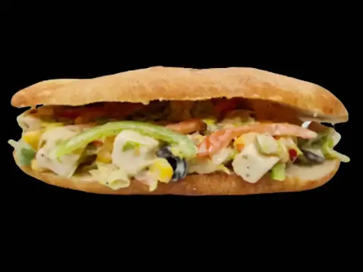 Paneer Salad Submarine