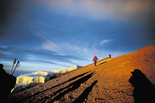 Udøve sport Souvenir Hysterisk morsom I'm sitting on top of Kilimanjaro