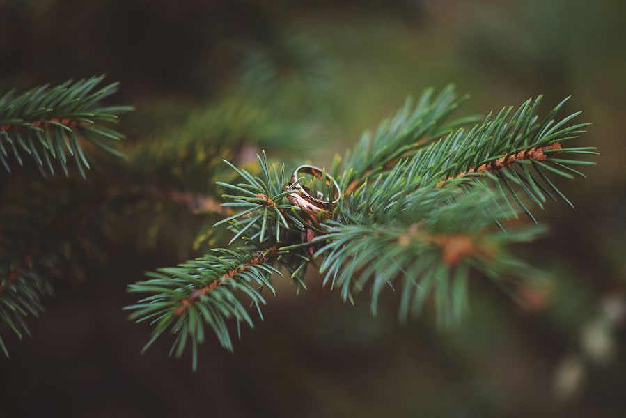 Photographe de mariage Yuriy Golubev (photographer26). Photo du 29 décembre 2017