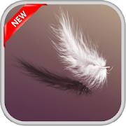 Feather Live Wallpapers  Icon
