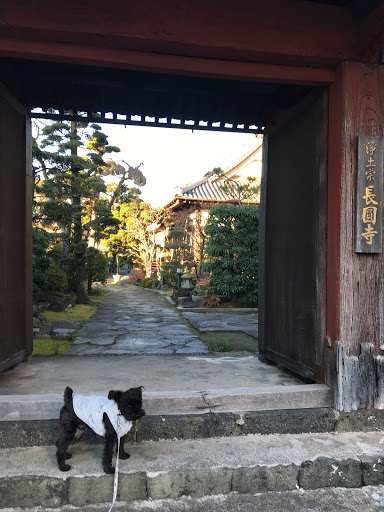 長園寺