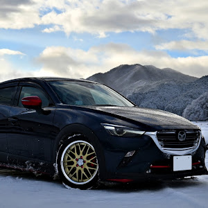 CX-3 DKEFW