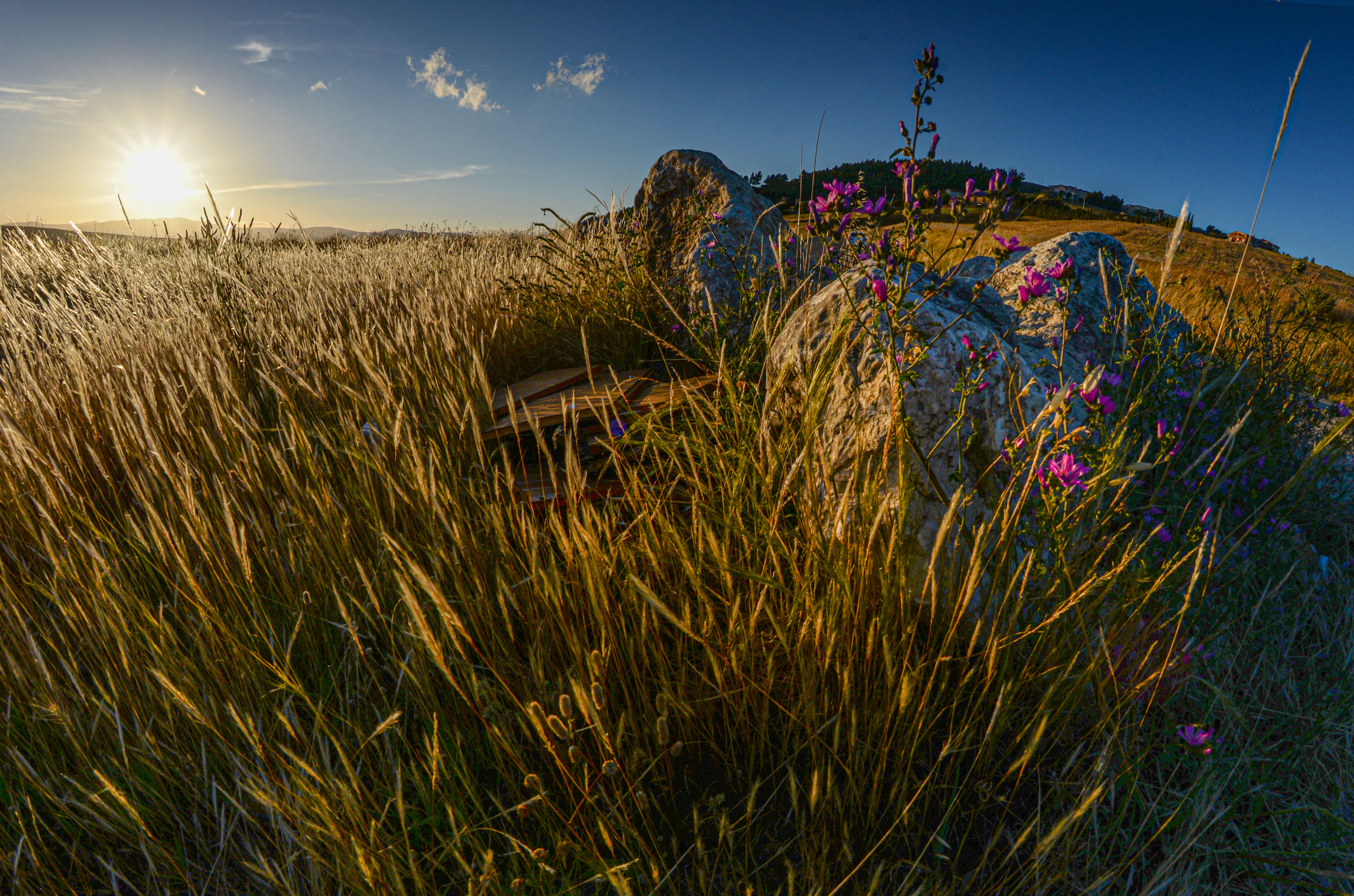 Terra al tramonto di Diana Cimino Cocco