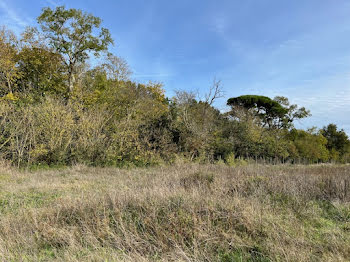 terrain à Labastide-d'Anjou (11)