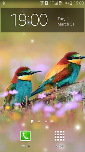 Spring Birds Live Wallpaper