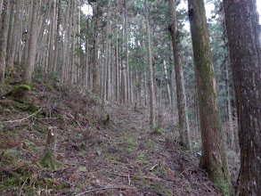 作業道を上へ