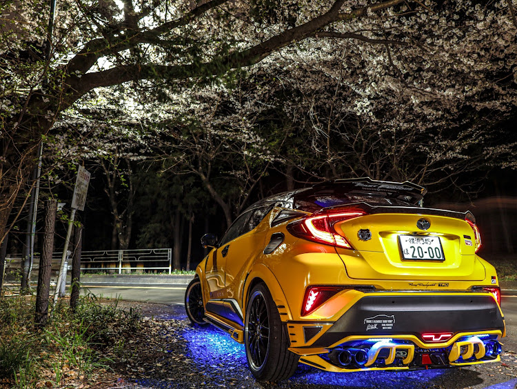 C-HRの4月もよろしくお願い致します🌸・DIY・桜と愛車・サクラと愛車に関するカスタム事例の投稿画像6枚目