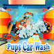 Paw Puppy Car Wash