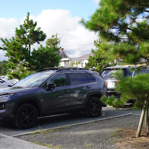 RAV4 MXAA54