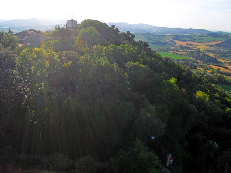 bosco mancinforte camerano2.jpg