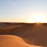 Orme nel deserto di 