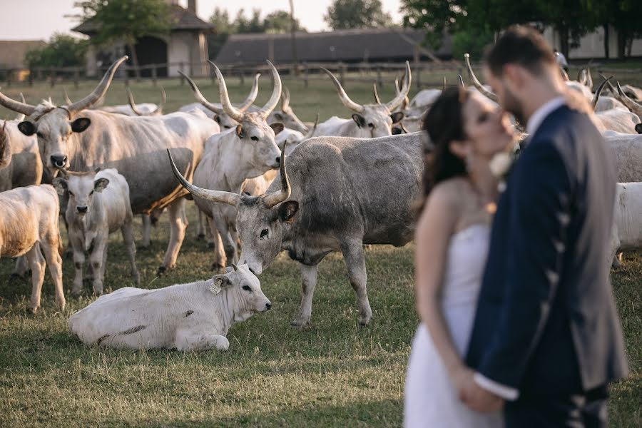 Photographer sa kasal Peter Sorok (sorok). Larawan ni 27 Setyembre 2018