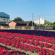 董家花田