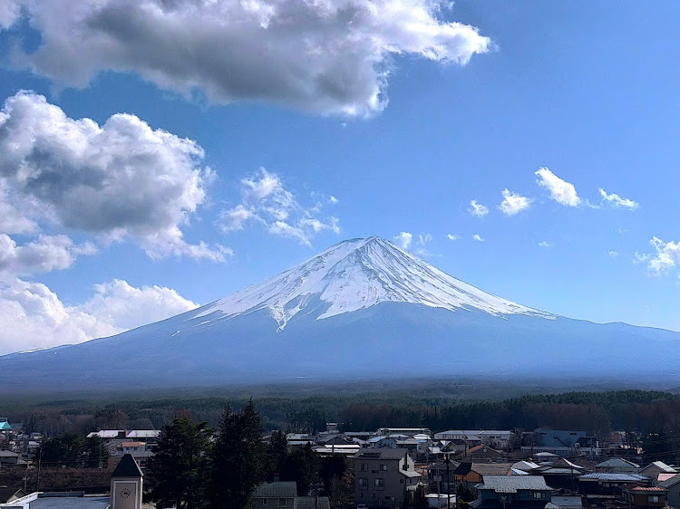 の投稿画像14枚目