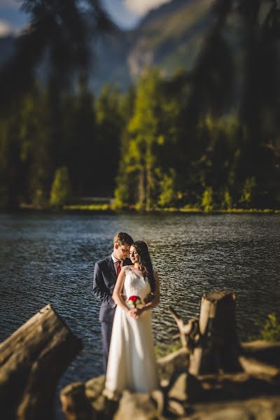 Fotógrafo de casamento Marzena Czura (magicznekadry). Foto de 9 de setembro 2016