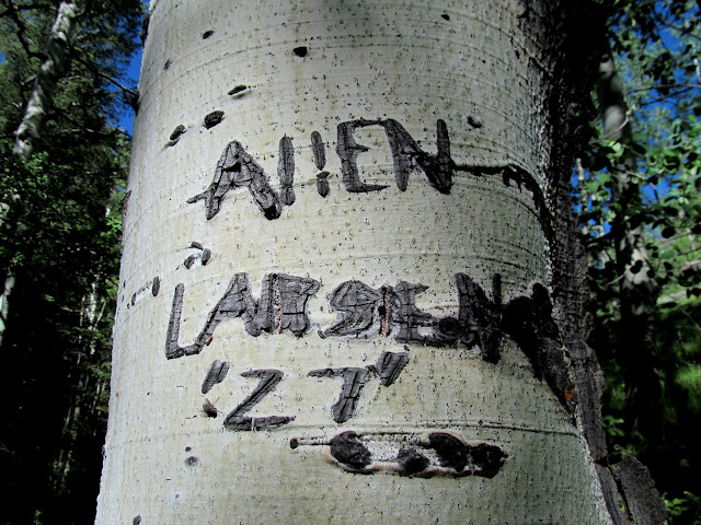 Allen Larsen 27