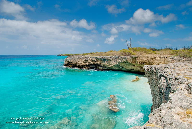 A craggy stretch of coastline in Bonaire. 