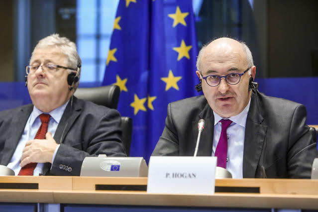 Phil Hogan - Photo credit: Alexis Haulot © European Union 2017 - Source: EP