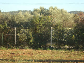 terrain à Cuers (83)