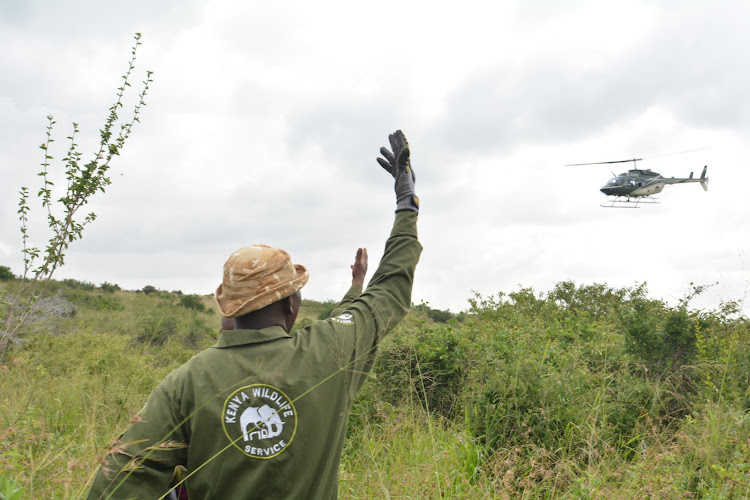 Kenya Wildlife Service Senior Assistant Director Isaac Lekolool during the launch of translocation of 21 black rhinos to Loisaba Conservancy from the Nairobi National Park on January 16, 2024.