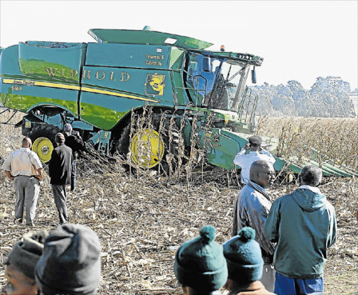 GROWING INDUSTRY: Commercialisation is taking rural communities by storm in the Eastern Cape as small-scale farmers cluster together in order to produce and sell in bulk to commercial markets Picture: MICHAEL PINYANA