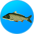 True Fishing. Fishing simulator1.10.2.466