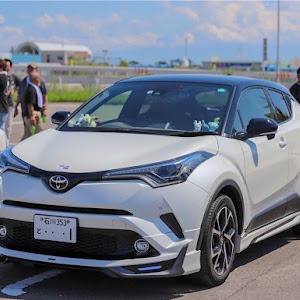 C-HR NGX50