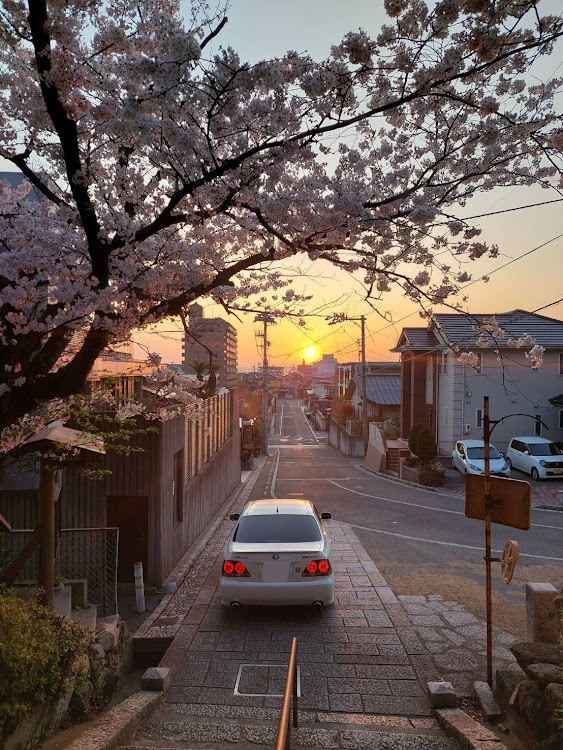 の投稿画像5枚目