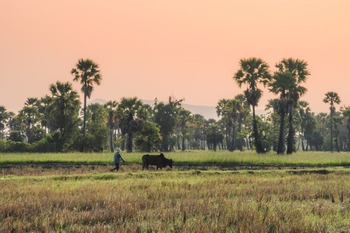 Le zonage d'un terrain peut être une partie délicate lorsque vous achetez un terrain à Bali.