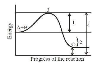 Introduction, properties, action and inhibition of enzymes