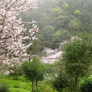 陽明山平菁街橘咖啡