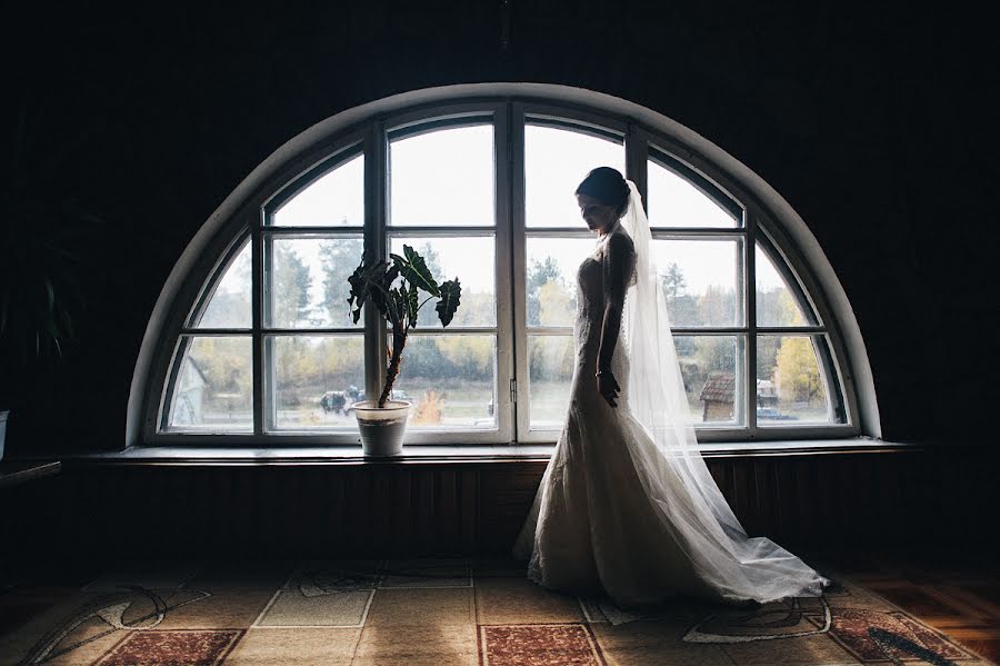 Φωτογράφος γάμων Sasha Nikiforenko (nekifir). Φωτογραφία: 21 Νοεμβρίου 2015