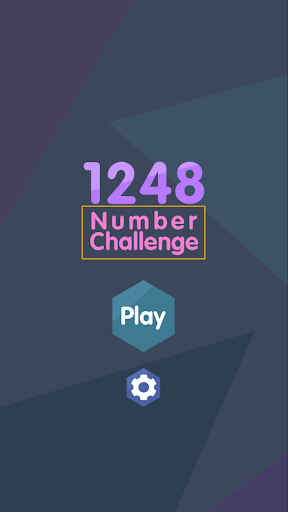 1248 - Number Challenge