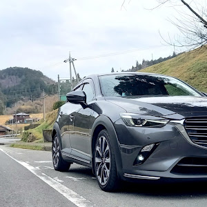 CX-3 DKEFW