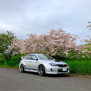 インプレッサ WRX STI GVF