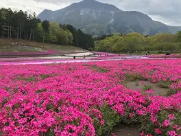 静かに春は、終わりを迎えた