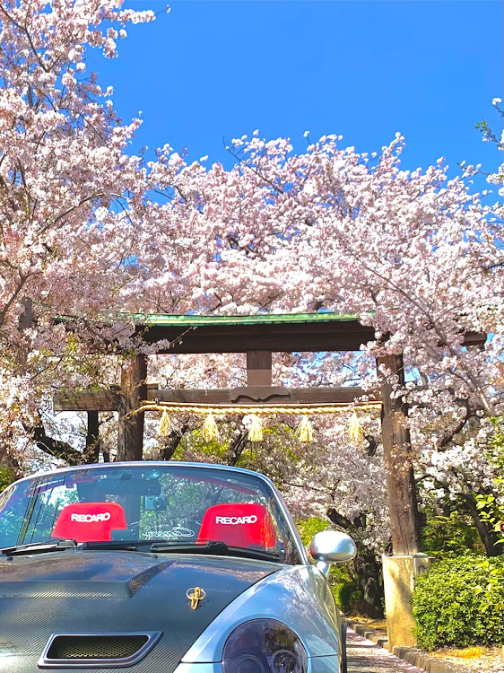 コペンのサクラコラボ・京都めぐり・コペンl880k・桜とコラボに関するカスタム事例の投稿画像1枚目