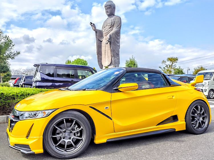 S660の牛久大仏・牛久・秋桜・コスモスに関するカスタム事例の投稿画像1枚目