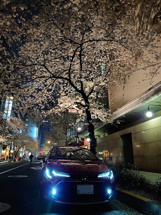 カローラスポーツの桜コラボ🌸・目指せPickUpCars・三越本店・高島屋本店に関するカスタム事例の投稿画像6枚目
