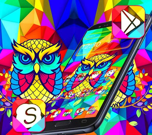 Colorful Owl Theme