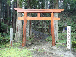 鳥居の横から中へ