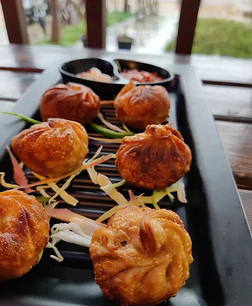 Paneer Fried Momos [6 Pieces]