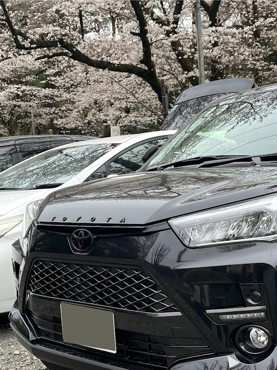 ライズのサクライズ2023・満開までもう少しに関するカスタム事例の投稿画像1枚目