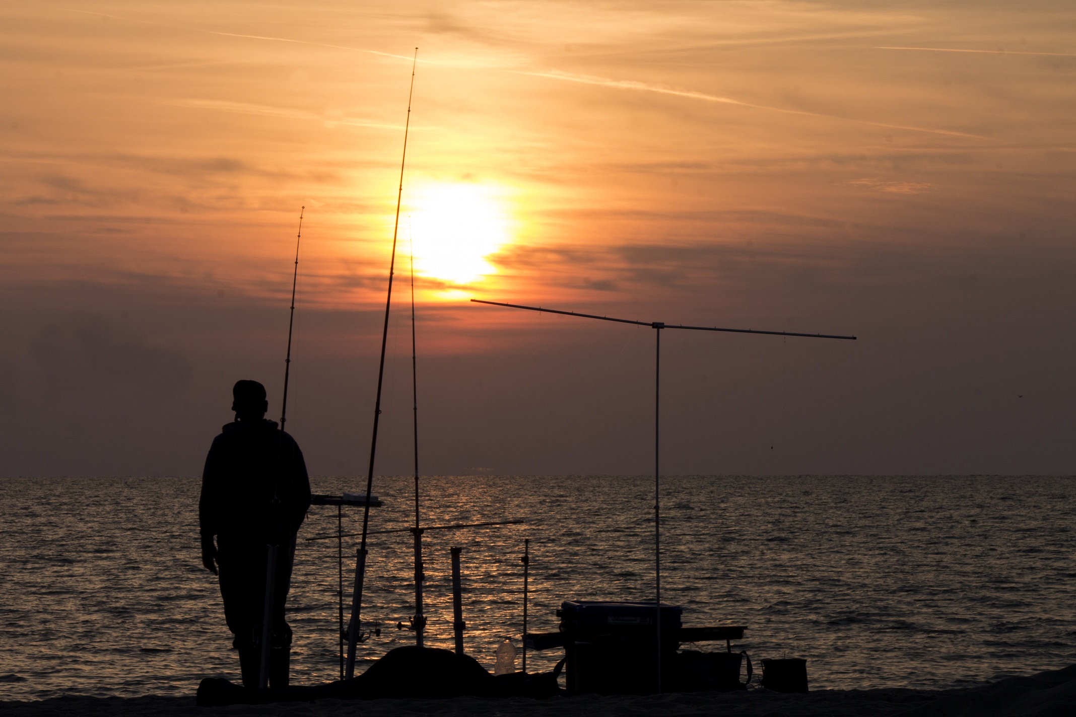  Pescatore... di gattopisa