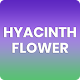 Download Hyacinth Flower For PC Windows and Mac