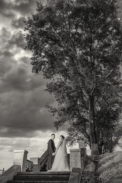 Fotógrafo de casamento Aleksandr Lovushkin (vakidzashi). Foto de 20 de abril 2017