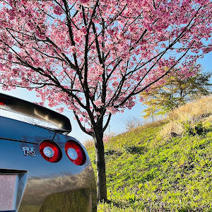 NISSAN GT-R R35