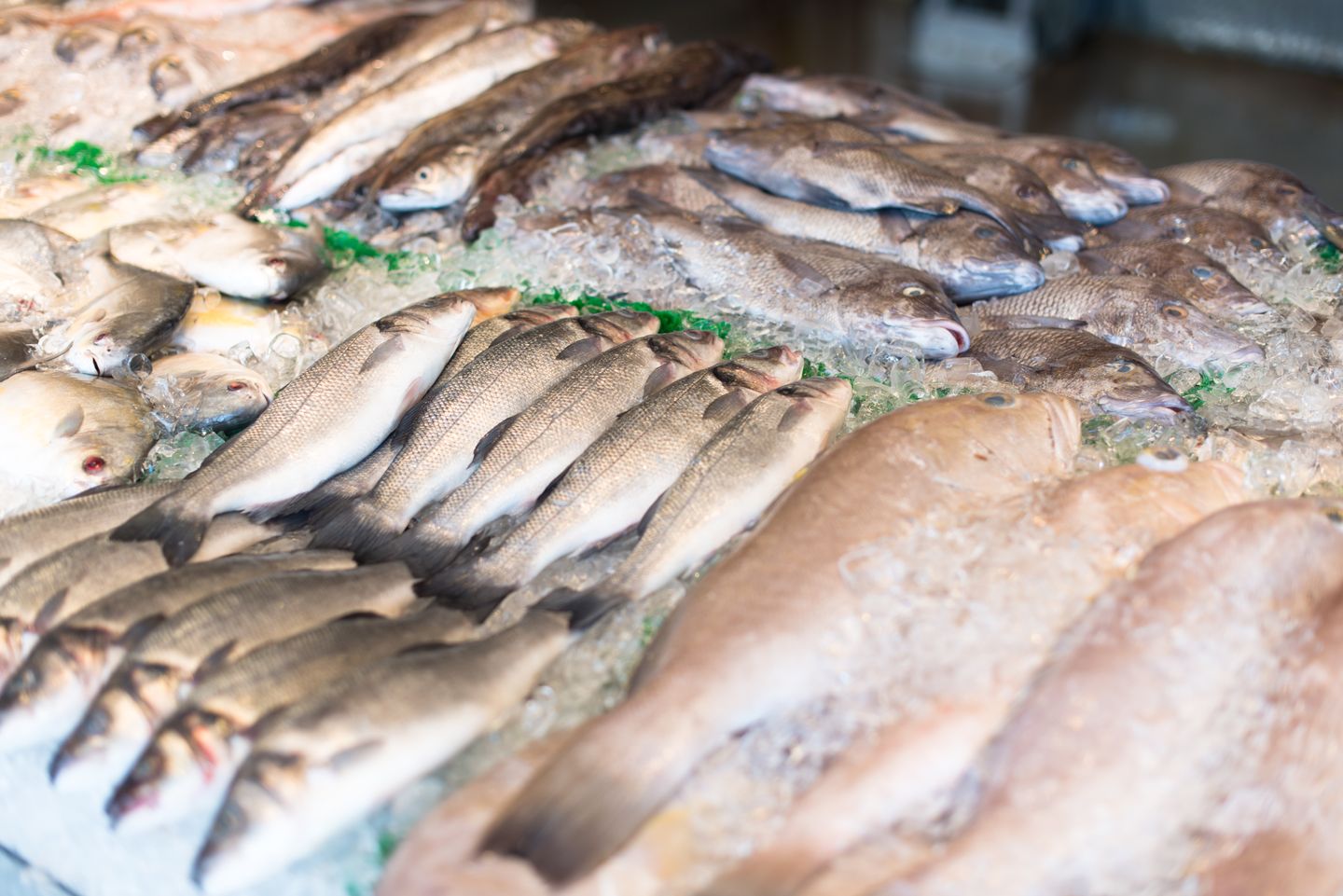 Penjual dan pembeli di pasar persaingan sempurna tidak bisa memengaruhi harga pasar.