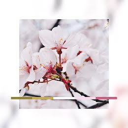 Spring Color Palette - Instagram Carousel Ad item