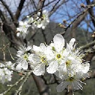 【南庄】李家莊美食景觀民宿